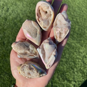 May include: A collection of six iridescent, white, and pink crystal-filled seashells. The shells are smooth and have a natural, organic shape.