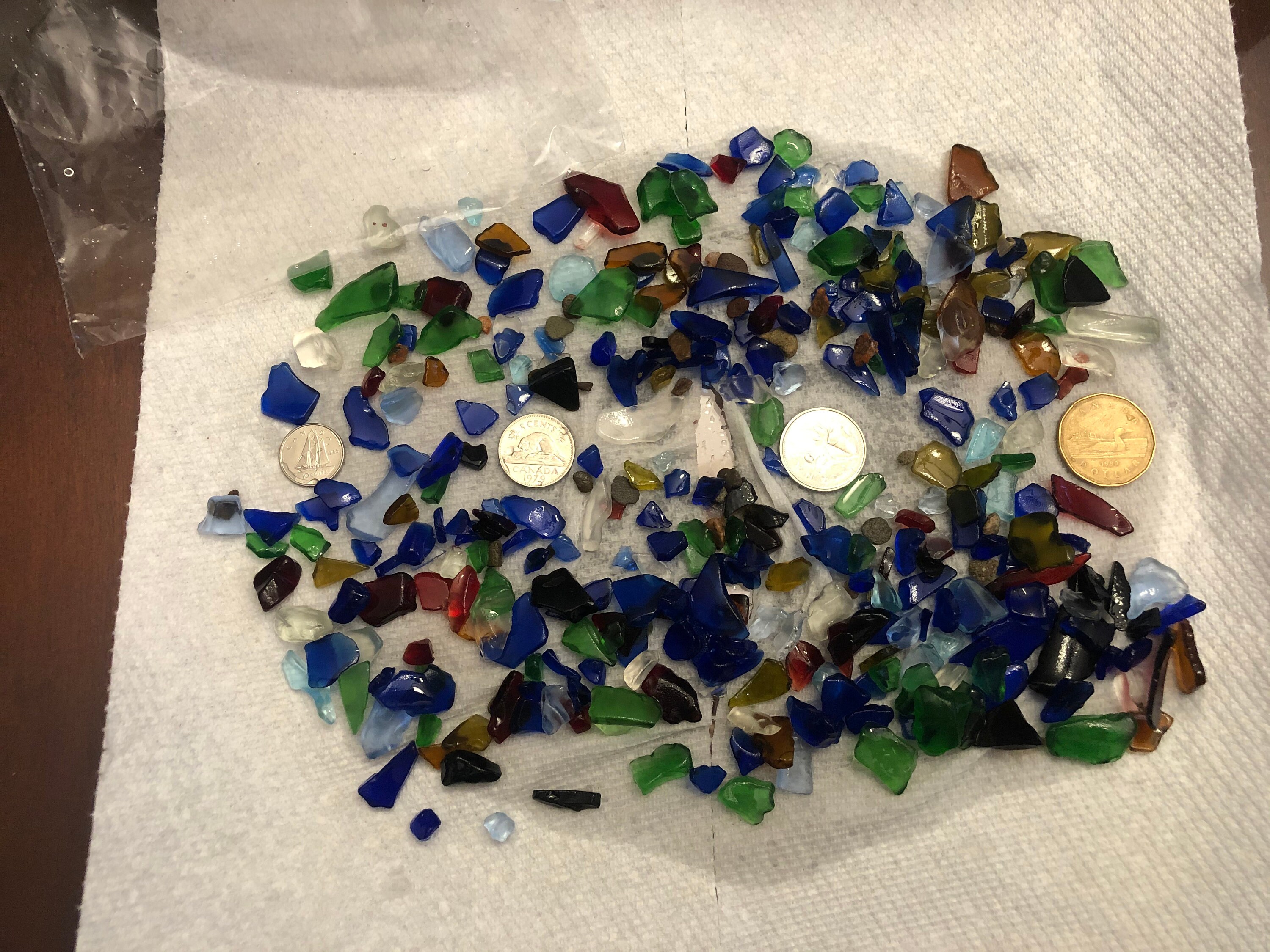 SEA GLASS/ BEACH glass Authentic Nova Scotia/New Brunswick Etsy