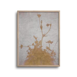 May include: A framed botanical print featuring a gold-colored floral silhouette against a textured, light gray background. The artwork is encased in a natural wood frame, adding a touch of rustic elegance to the piece. The floral design includes delicate stems and flower heads.