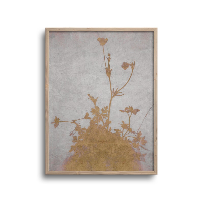 May include: A framed botanical print featuring a gold-colored floral silhouette against a textured, light gray background. The artwork is encased in a natural wood frame, adding a touch of rustic elegance to the piece. The floral design includes delicate stems and flower heads.