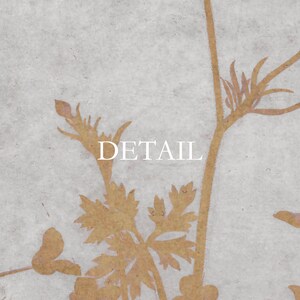 May include: Close-up of a botanical illustration featuring a detailed view of a plant with delicate, golden-brown leaves and stems against a textured, light gray background. The word "DETAIL" is printed in white.