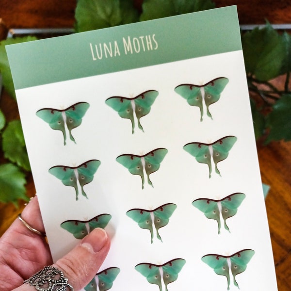 Luna Moth Glossy Planner Sticker Sheet
