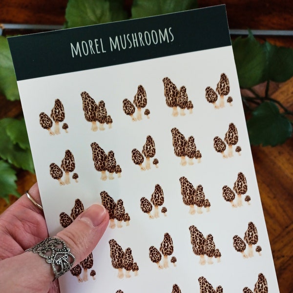 Morel Mushrooms Glossy Planner Sticker Sheet