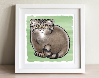 Pallas's Cat / Manul Cat Art Print