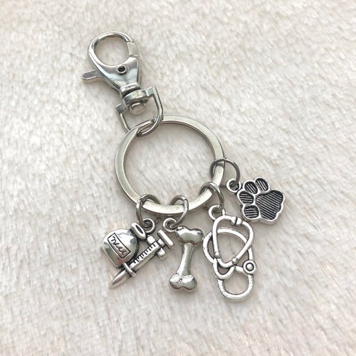Cadeau porte-clés vétérinaire | Cadeau technique vétérinaire | Flacon et seringue, os, stéthoscope, patte d'animal de compagnie | Pendentifs en argent | Expédition le jour même ou le lendemain