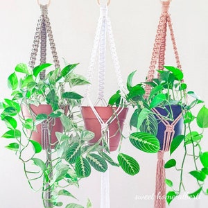 Plant Hanger - Macrame Hanging Plant