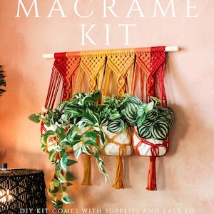 DIY Macrame Wall Plant Hanger Kit - Macrame Plant Hanger Pattern