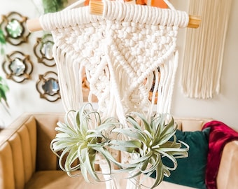 Air Plant Hangers - Macrame Plant Hanger