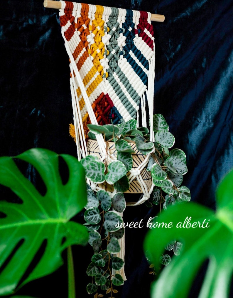 Rainbow Plant Wall Hanger Macrame Plant Hanging Wall Plant Holder image 3