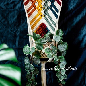 Rainbow Plant Wall Hanger Macrame Plant Hanging Wall Plant Holder image 2