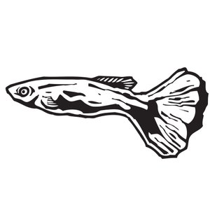 Download Fish Alligator Gar Silhouette Svg Dxf Eps Silhouette Rld Etsy