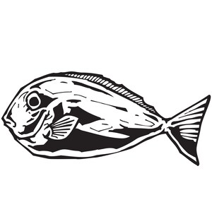 Download Fish Alligator Gar Silhouette Svg Dxf Eps Silhouette Rld Etsy