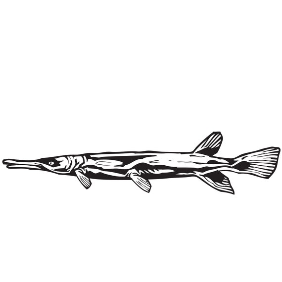 Download Fish Alligator Gar Silhouette Svg Dxf Eps Silhouette Rld Etsy