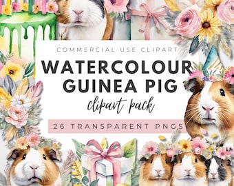 Watercolor Guinea Pig Clipart: 26 PNG Animal Graphics (Commercial Use)