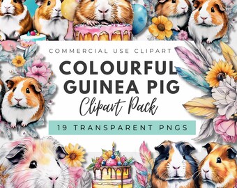 Colorful Guinea Pig Clipart: 19 PNG Graphics for Commercial Use