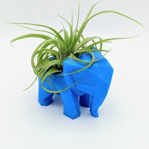 May include: A bright blue, geometric elephant planter holding a green air plant. The planter has a faceted design and is made of a solid, vibrant blue material. The air plant has long, slender green leaves. The overall aesthetic is modern and playful.