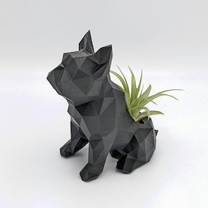 May include: A black geometric French bulldog planter with a green air plant inside.