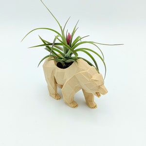 May include: A tan-colored, geometric bear planter holding a green plant with long, thin leaves and a small, pink flower. The bear has a detailed, faceted design and is suitable for small plants or air plants.