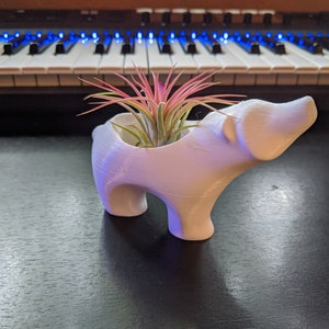 Polar bear Planter, air plant holder, indoor planter, Succulent decor, nursery decor, 3d Printed, Succulents, Air plants, planter Bild 7