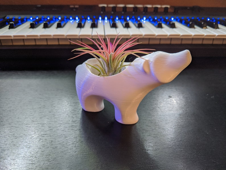 Polar bear Planter, air plant holder, indoor planter, Succulent decor, nursery decor, 3d Printed, Succulents, Air plants, planter Bild 7