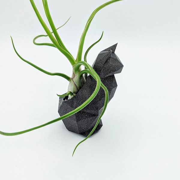 Cat planter, cat air plant holder, indoor planter, Succulent decor, nursery decor, 3d Printed, Succulents, Air plants, colorful planter