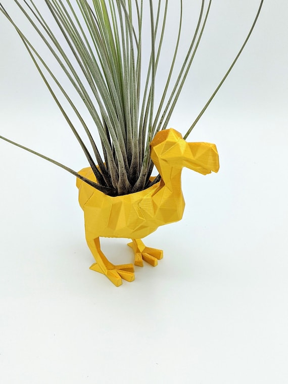 Dodo Bird Planter, Air Plant Holder, Indoor Planter, Succulent Decor,  Nursery Decor, 3d Printed, Succulents, Air Plants, Planter - Etsy