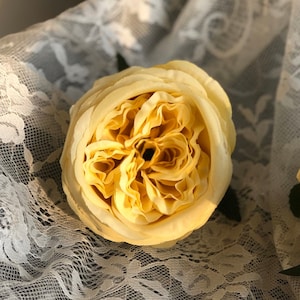 10pcs Artificial Cabbage Rose Head, Austin Silk Rose, Cabbage Rose for Wedding Bouquets Centerpieces Decor with Stems -Yellow
