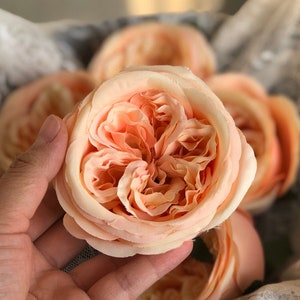 10pcs Cabbage Rose, High Quality Peach Cabbage Roses Austin Silk Rose, for Wedding Bouquets, Centerpieces Decorations with Stems