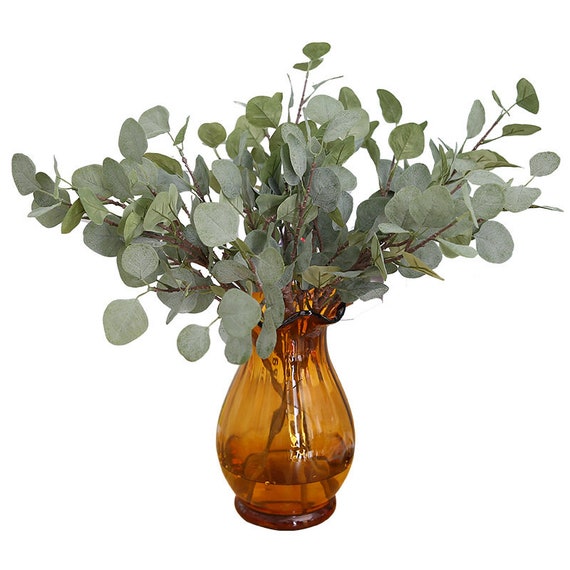 Knstliche Eukalyptus Bltter Stiele 6 Stk. Kunstsilber Dollar Eukalyptus  Blatt Branche in Grau Grn fr Home Party Hochzeit Dekor 25,5'' Lnge -  Etsy Schweiz