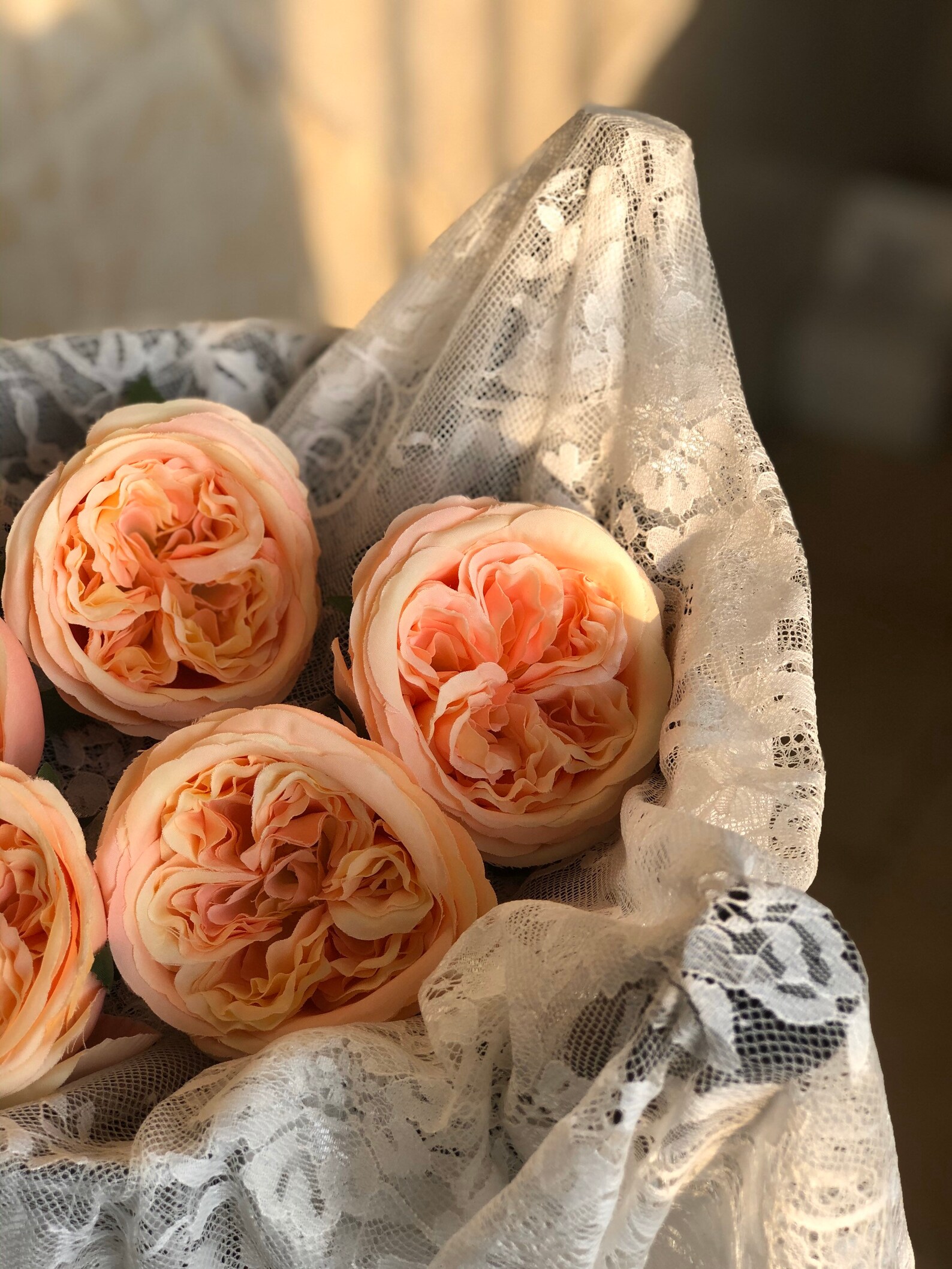 10pcs Cabbage Rose, High Quality Peach Cabbage Roses Austin Silk Rose ...