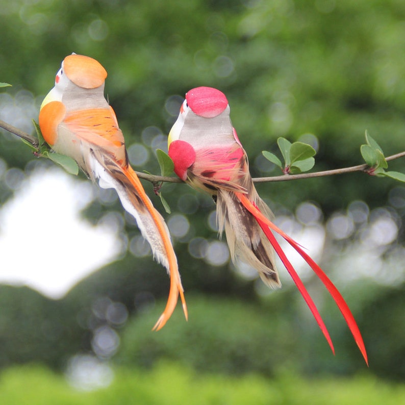 Artificial Bird Clips Pair of Bright Rainbowfeather Birds Etsy UK