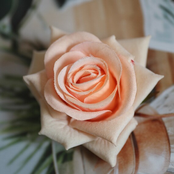blumenkasten aus keramik Italienischer ovaler Blumenkasten ca. 33 cm breit aus Terracotta, Pfla – La  Casa main image 1