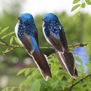 カイツブリ　置物　水鳥2羽セット カイツブリ2種 – マリンスケープ