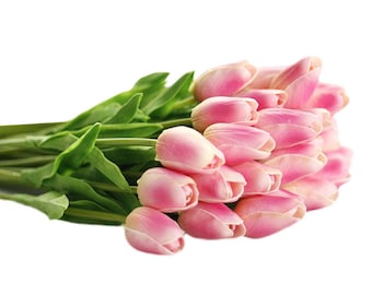 Artificial Tulips PU Flowers Dark Pink 20 Stems Real Touch Tulip Bouquet For Bridal Bridesmaids Flowers for Wedding Centerpieces CATA-YJW05