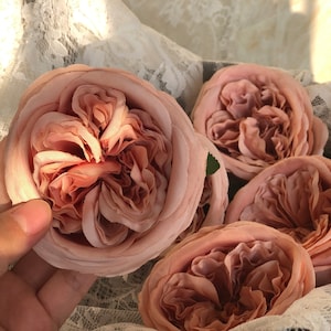10pcs Blush Austin Silk Rose, Cabbage Rose, High Quality Cabbage Roses for Wedding with Seperated Stems