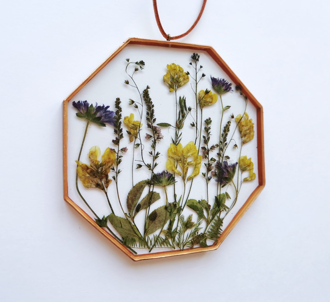 Framed Pressed Flowers Decor Dry Flower Art Wall Hanging Frame Etsy