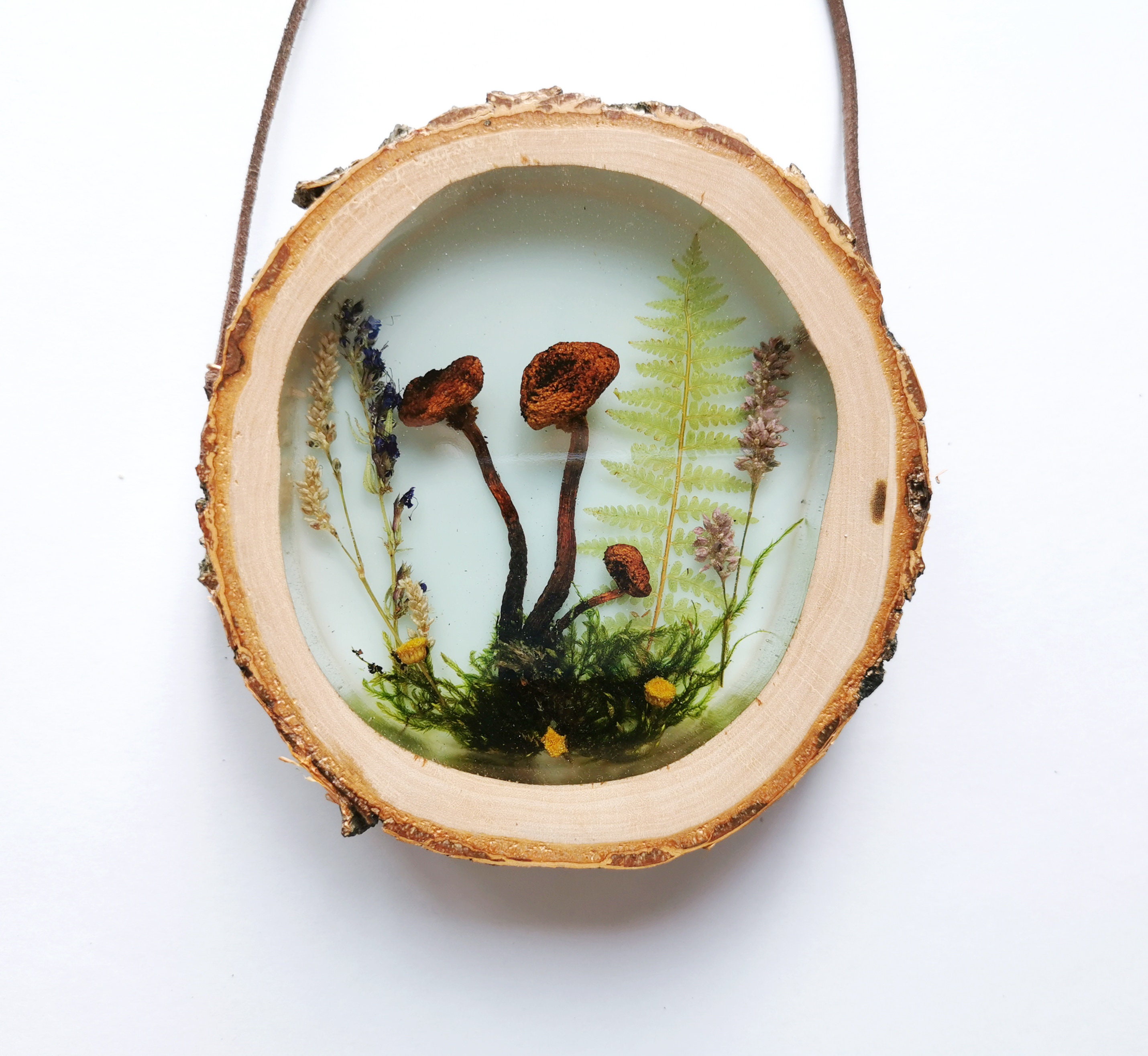 Mushroom Decor Resin Art Mushroom Wall Art Resin Wall Hanging Etsy