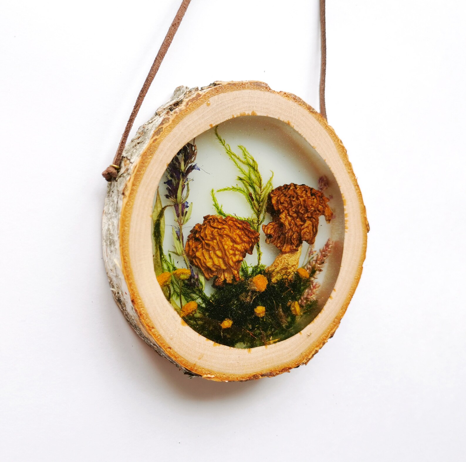 Mushroom Decor Resin Art Mushroom Wall Art Resin Wall Hanging Etsy