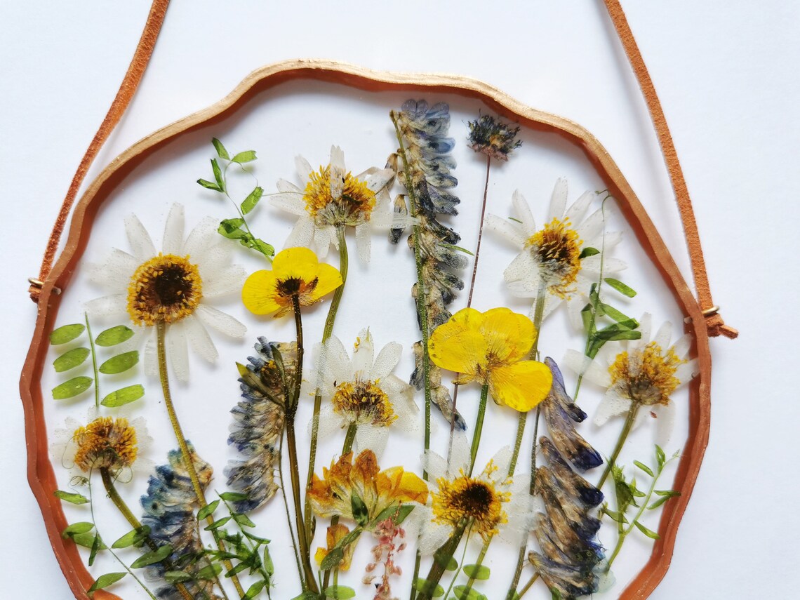 Dried Flower Frame Pressed Flower Frame Herbarium Flowers in Etsy