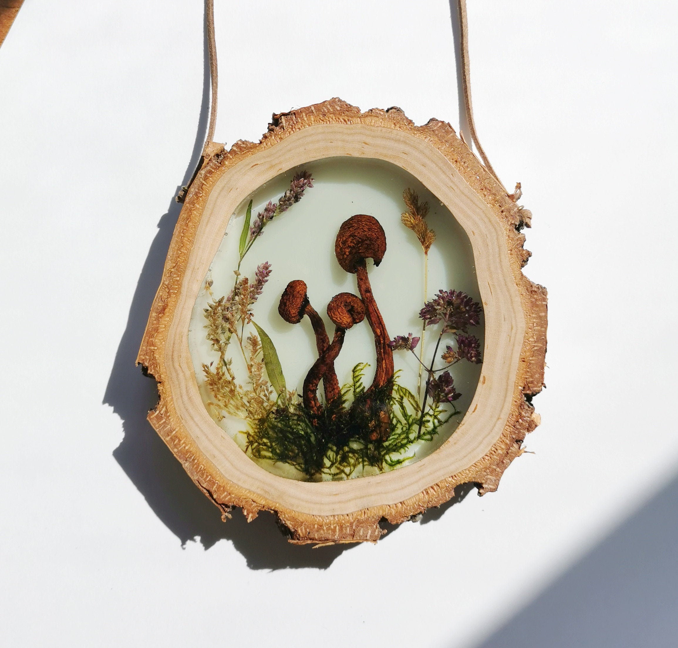 Mushroom Decor Resin Art Mushroom Wall Art Resin Wall Hanging Etsy
