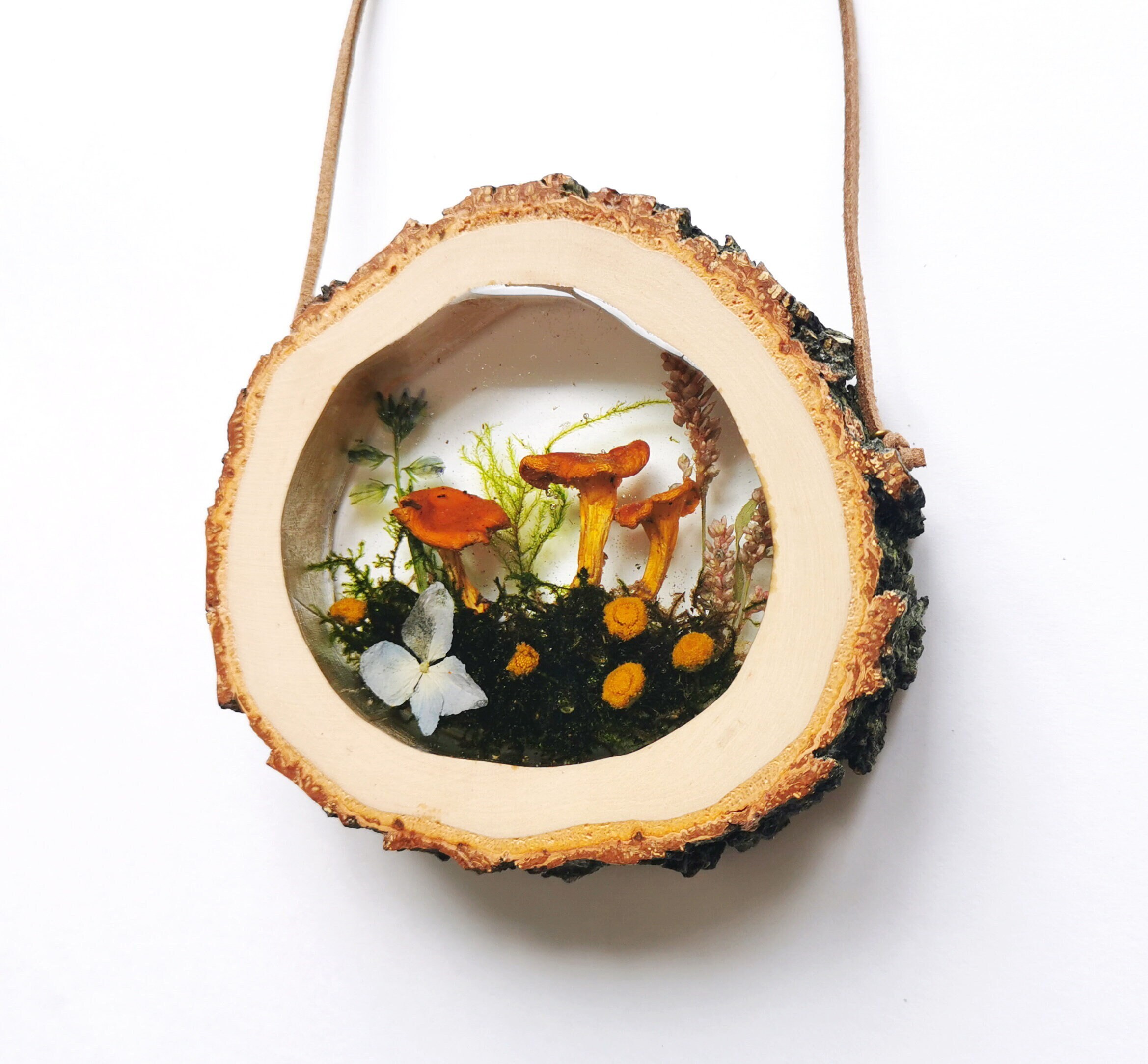 Pressed Flower Frame Mushroom in Resin  Wall Hanging Frame Mushrooms Resin Art Small Mushrooms Decor Flowers Hanging Herbarium Frame