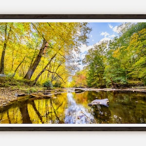 Allegheny National Forest Reflective Lake Photography Wall Decor