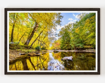 Allegheny National Forest Reflective Lake Photography Wall Decor