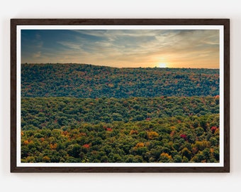 Bald Eagle State Forest Landscape Photography