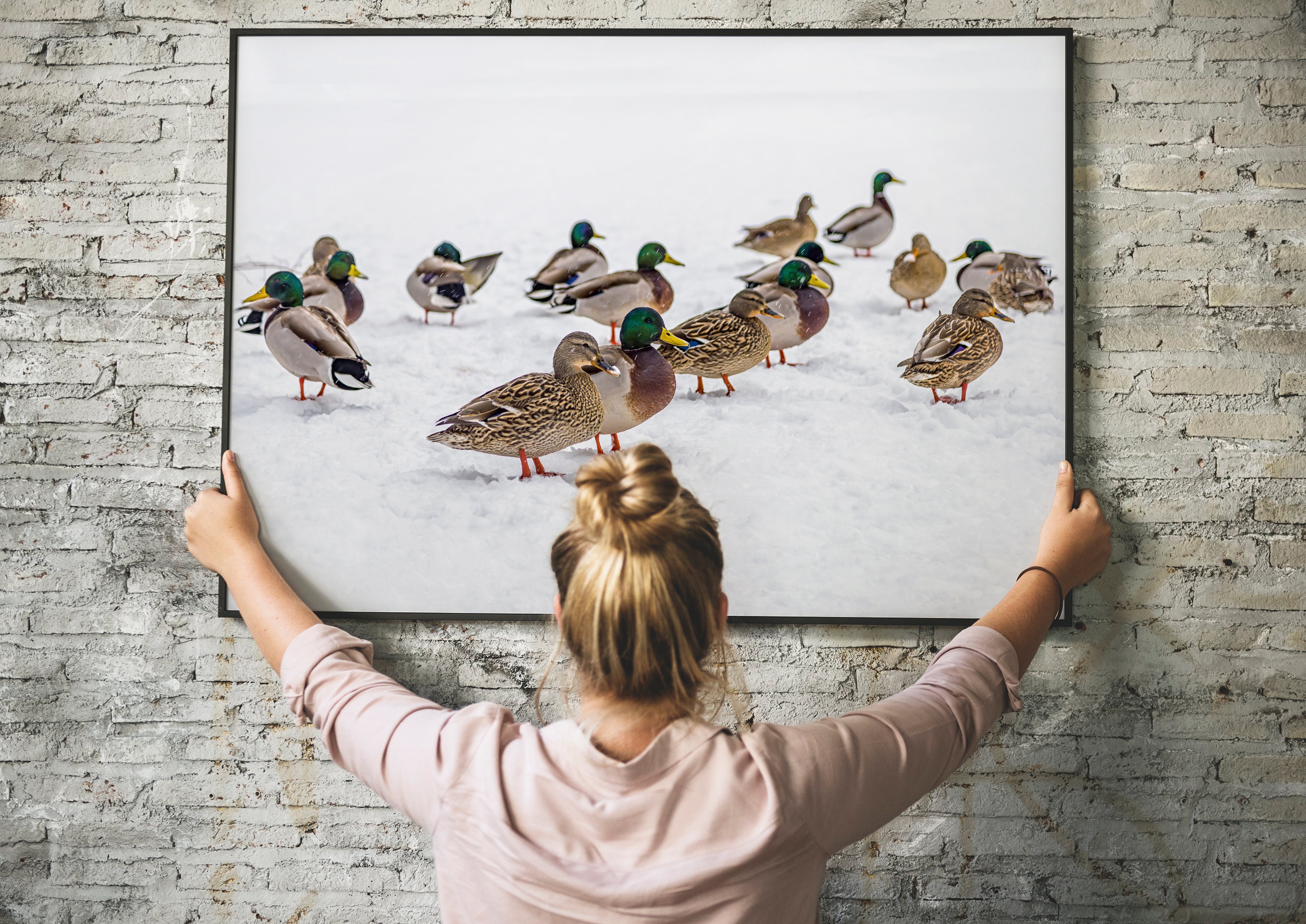 Foto Central Park Winter Ducks: NYC Snow Day muurkunst - Etsy België, image size:3000x2124