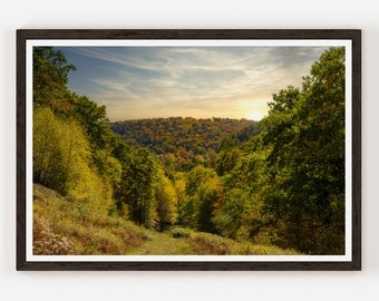 Allegheny National Forest Photograph Wall Art