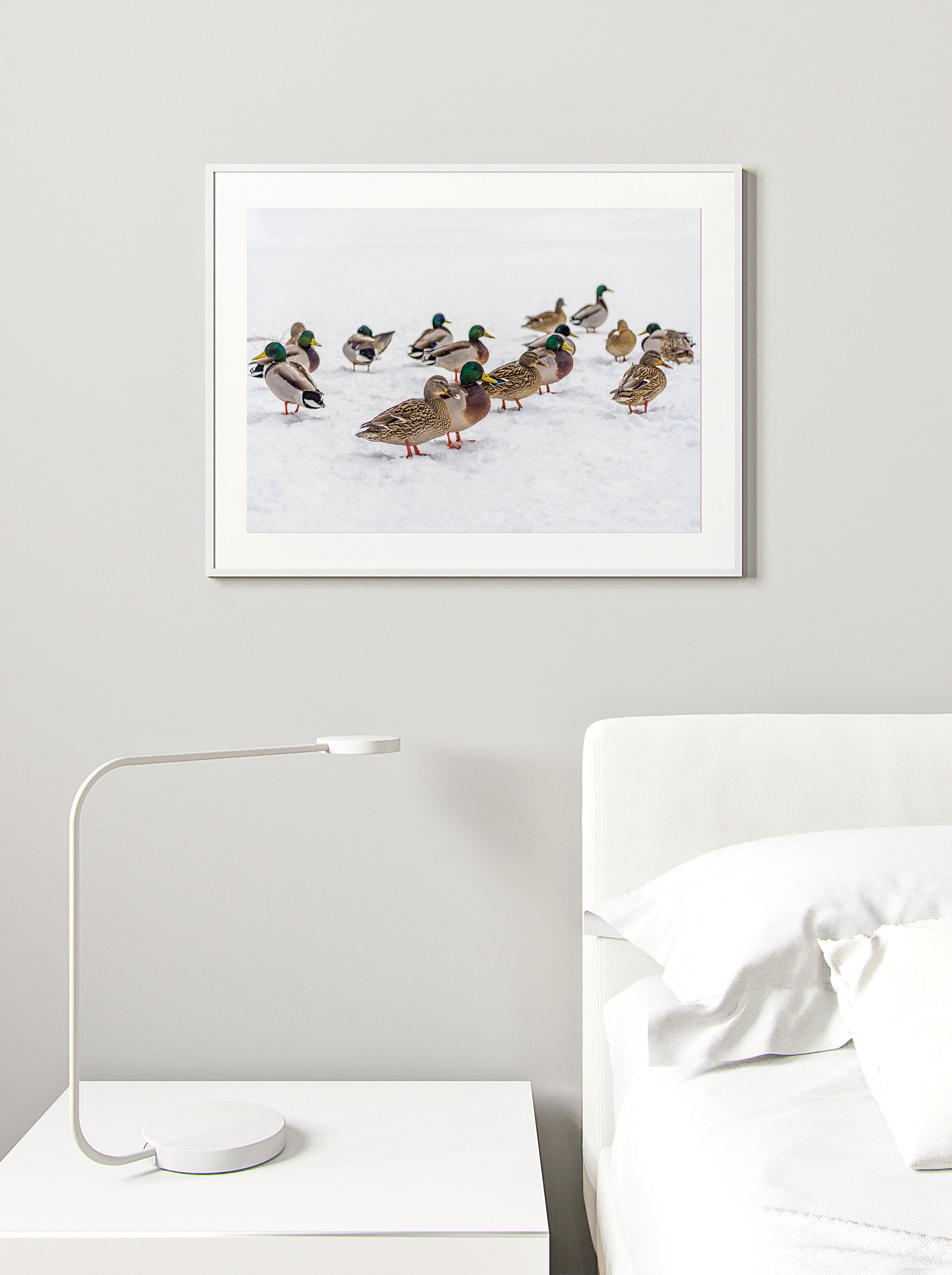 Liefdadigheid | Edgard \u0026 Cooper, image size:2241x3000