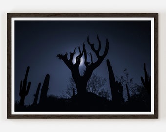 Cactus Silhouette Fine Art Photo Print | Arizona Photography | Wall Decor.