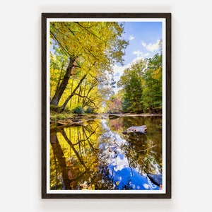Allegheny National Forest Reflective Lake Vertical Photography Wall Decor