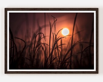 Grass Silhouette Wall Decor Print Artistic Photography Nature Photography Orange Sunlit Sky.